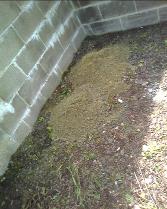 This is the excavation for a Dry mix Concrete Base with part of the dry mix in on the 20/03/2008